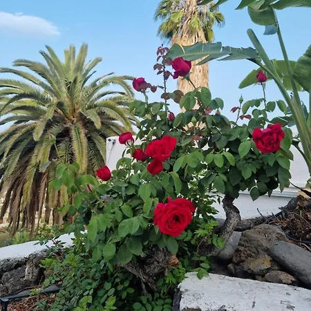 Rural Jardines La Quinta Villa El Paso Exterior photo