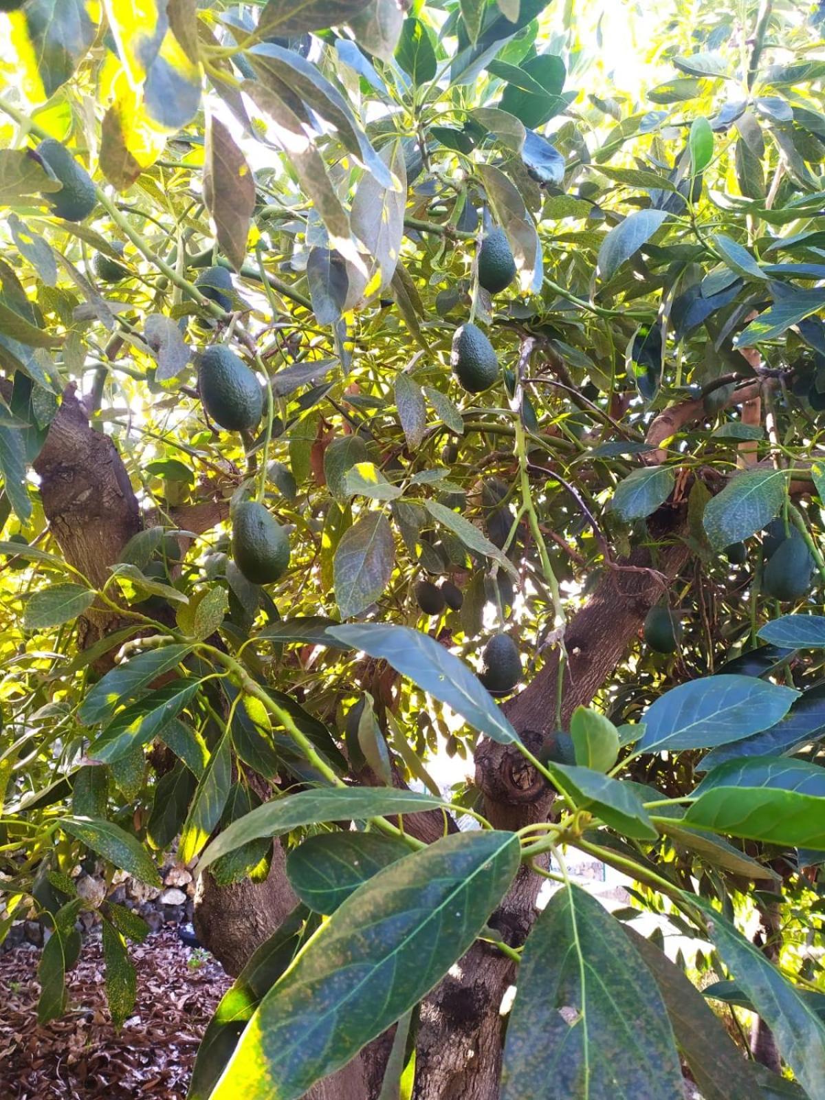 Rural Jardines La Quinta * El Paso